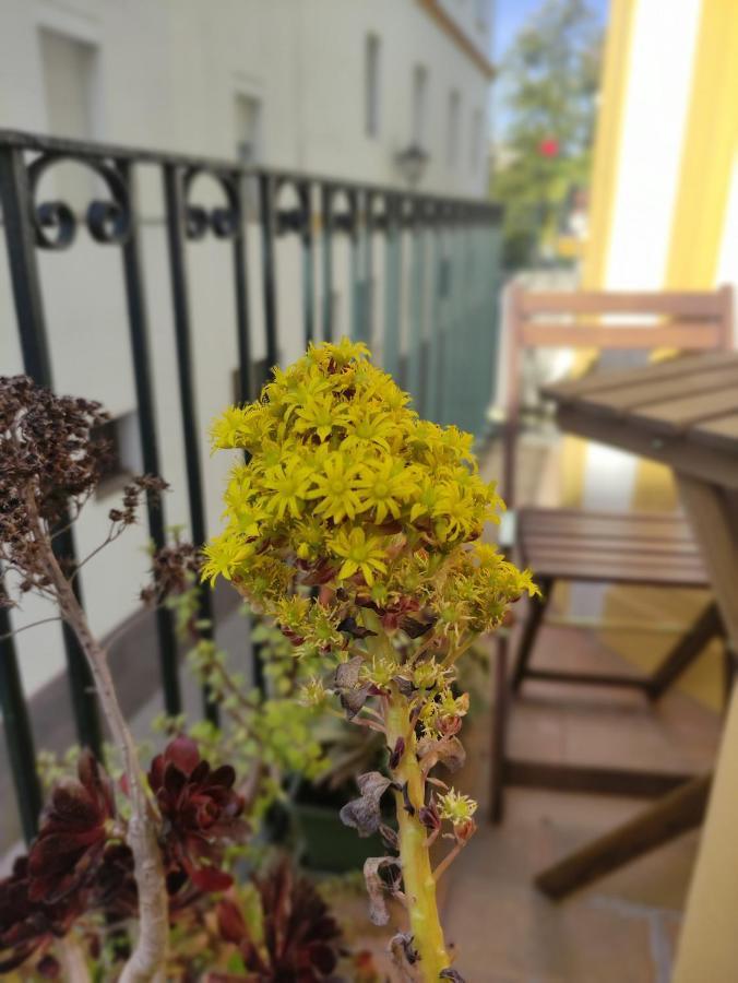 Vive Triana Daire Sevilla Dış mekan fotoğraf