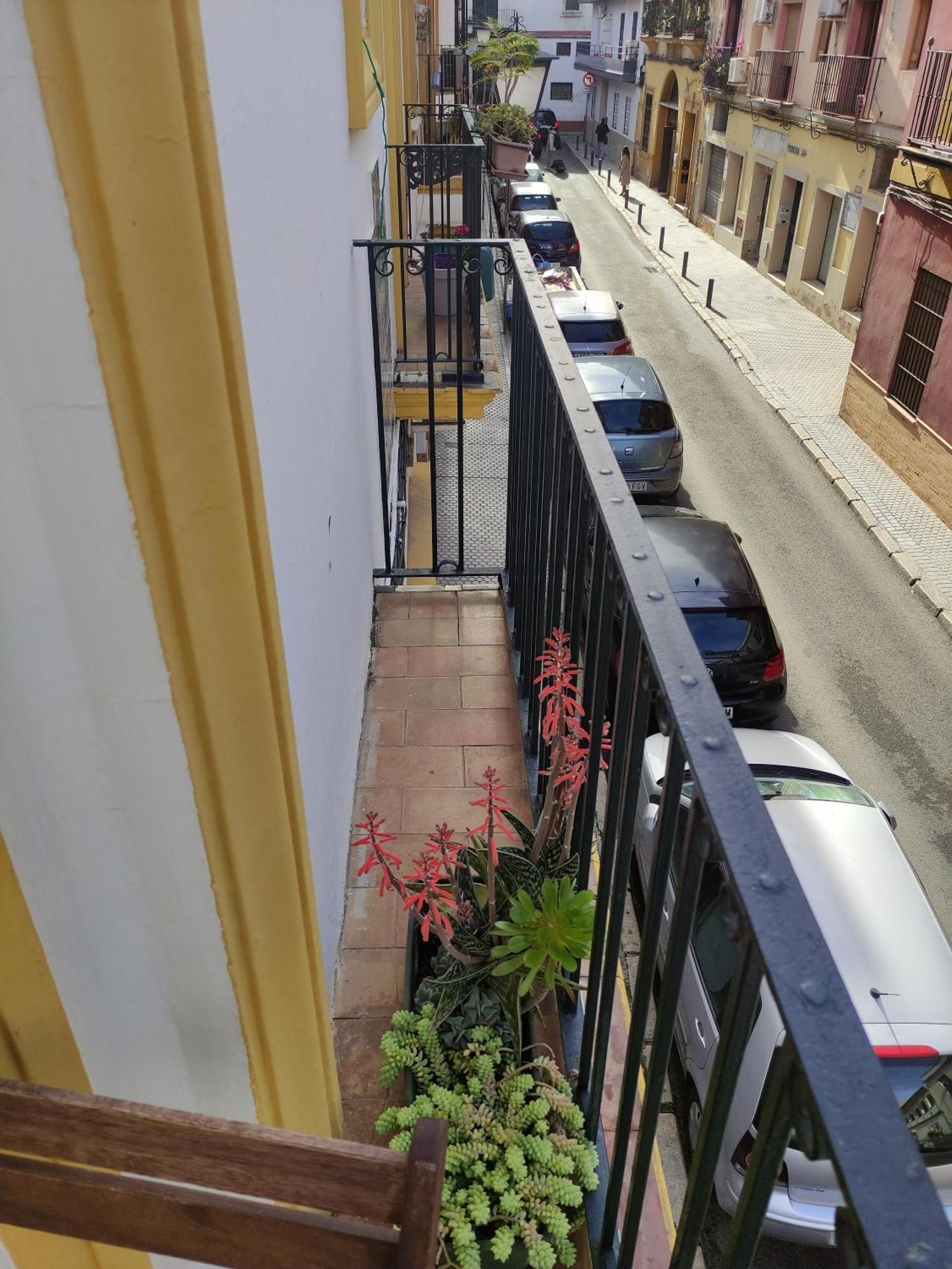 Vive Triana Daire Sevilla Dış mekan fotoğraf